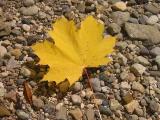 The change of a season...